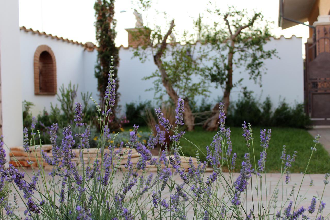 Emotions Bed & Breakfast Fiumicino